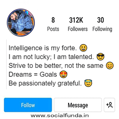 Attitude Bio for Instagram in English