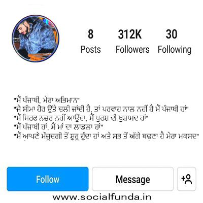 Attitude Bio for Instagram in Punjabi