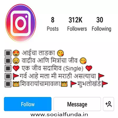 Bio For Instagram For Girl In Stylish Font Marathi
