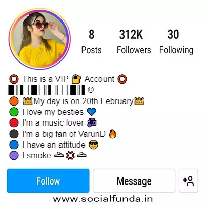 Indian Girls Attitude Bio For Instagram