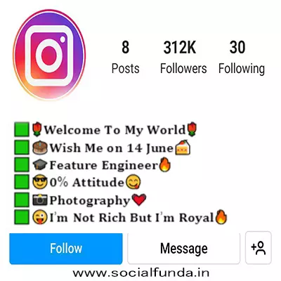 Stylish Bio For Instagram For Boy