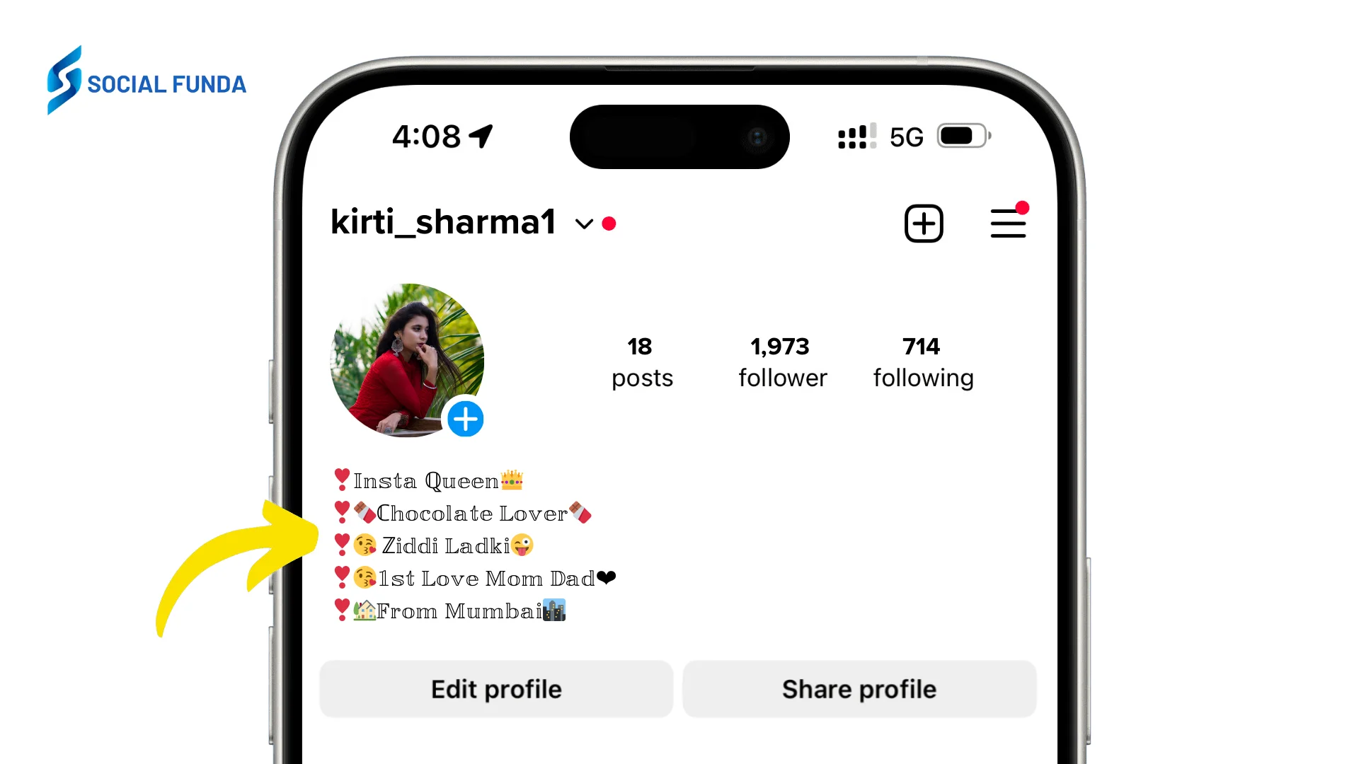 VIP Account Bio Instagram