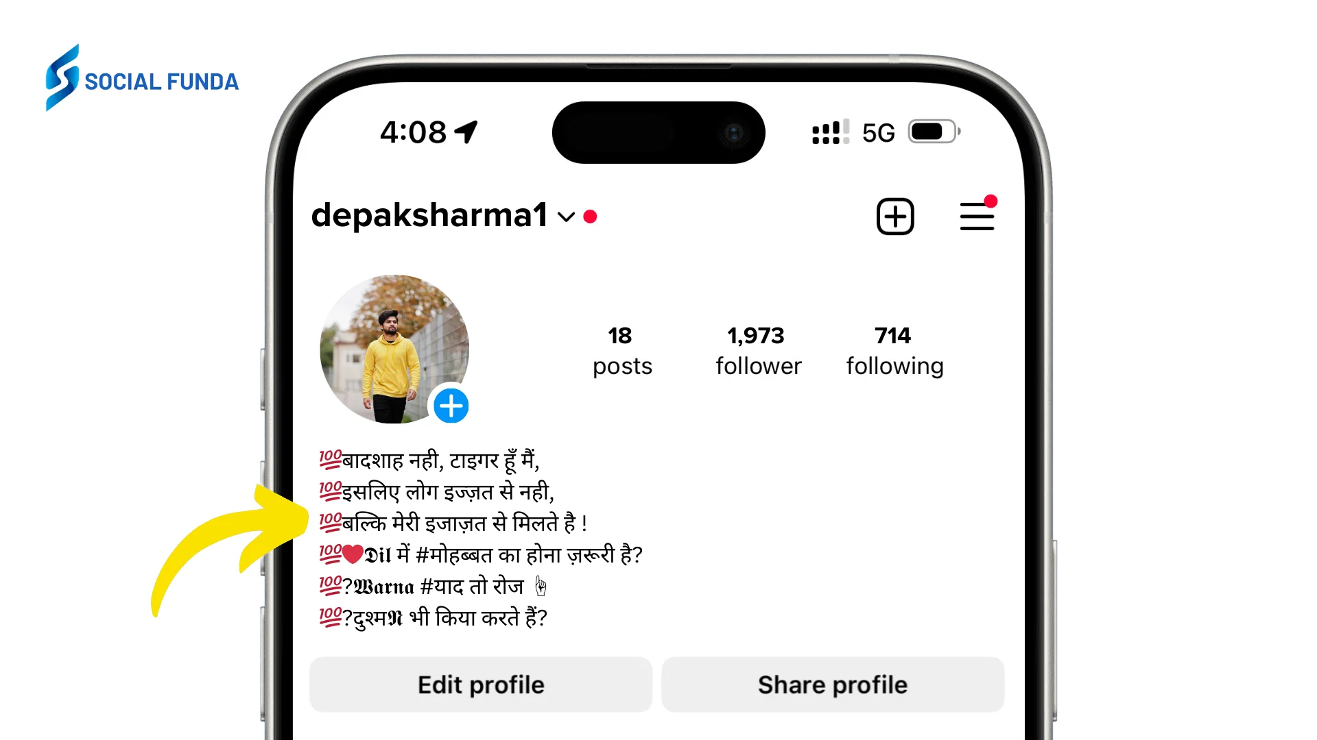 Instagram VIP Bio Hindi