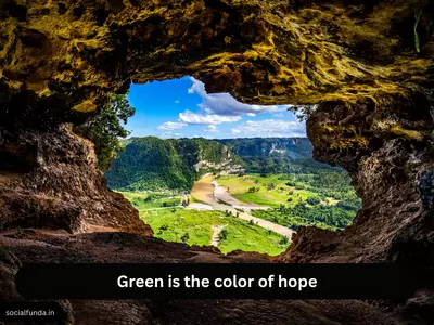 Green Nature Captions for Instagram