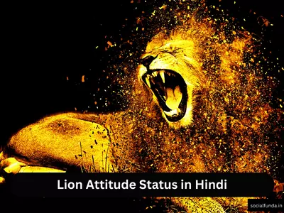 Lion Attitude Status in Hindi