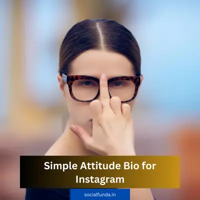 Simple Attitude Bio for Instagram