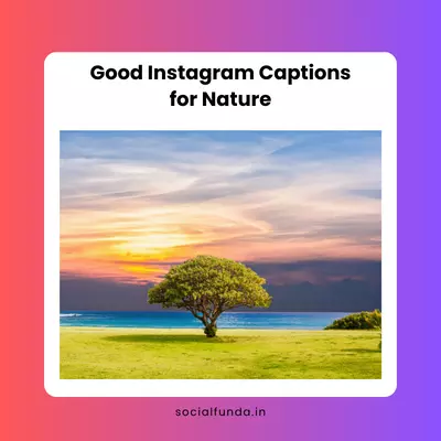 Good Instagram Captions for Nature