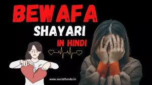 Best New 600+ Bewafa Shayari in Hindi | बेवफ़ा शायरी | 2024 
