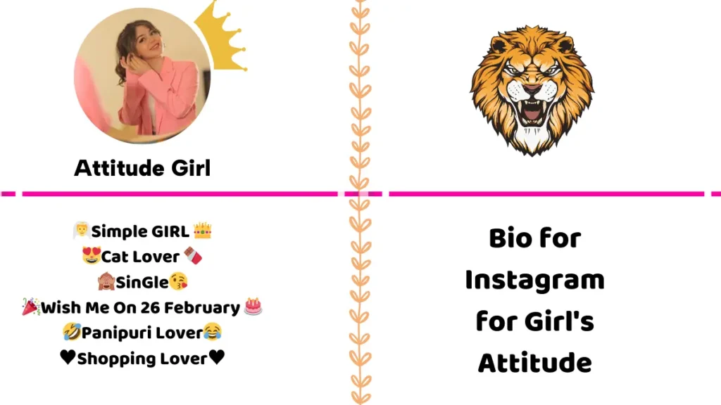 Bio for Instagram for Girl's Attitude