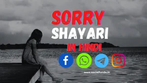Best 700+ Sorry Shayari in Hindi (2024)