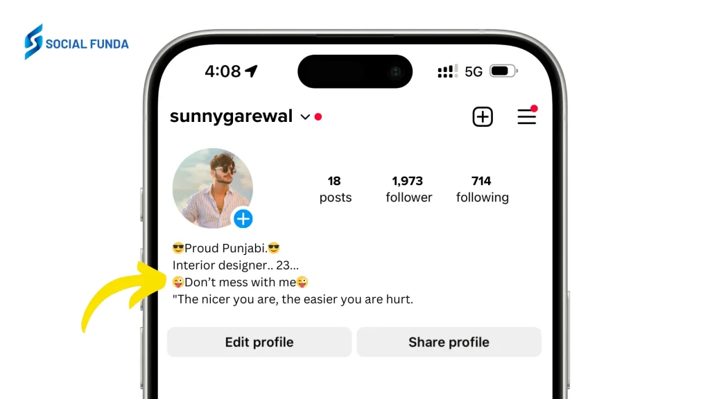 Punjabi Attitude Bio For Instagram