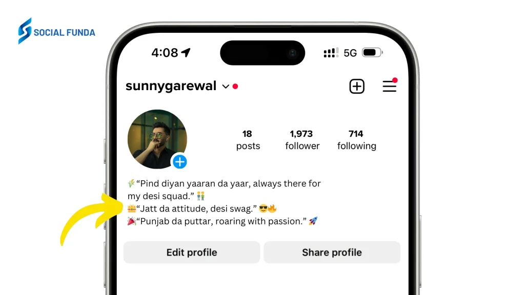 Punjabi Lines For Instagram Bio