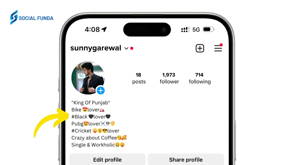 Punjabi Instagram Bio
