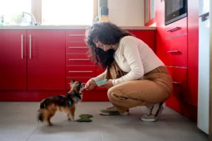 The Basics Of Preventive Care: Keeping Your Pet Healthy Year Round