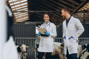 4 Common Services Provided By General Veterinarians