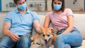 The Importance Of Spaying And Neutering For Pet Health