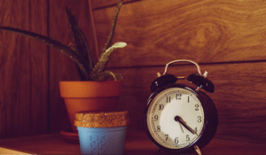 Batching Content Like a Pro: Save Time, Grow Faster